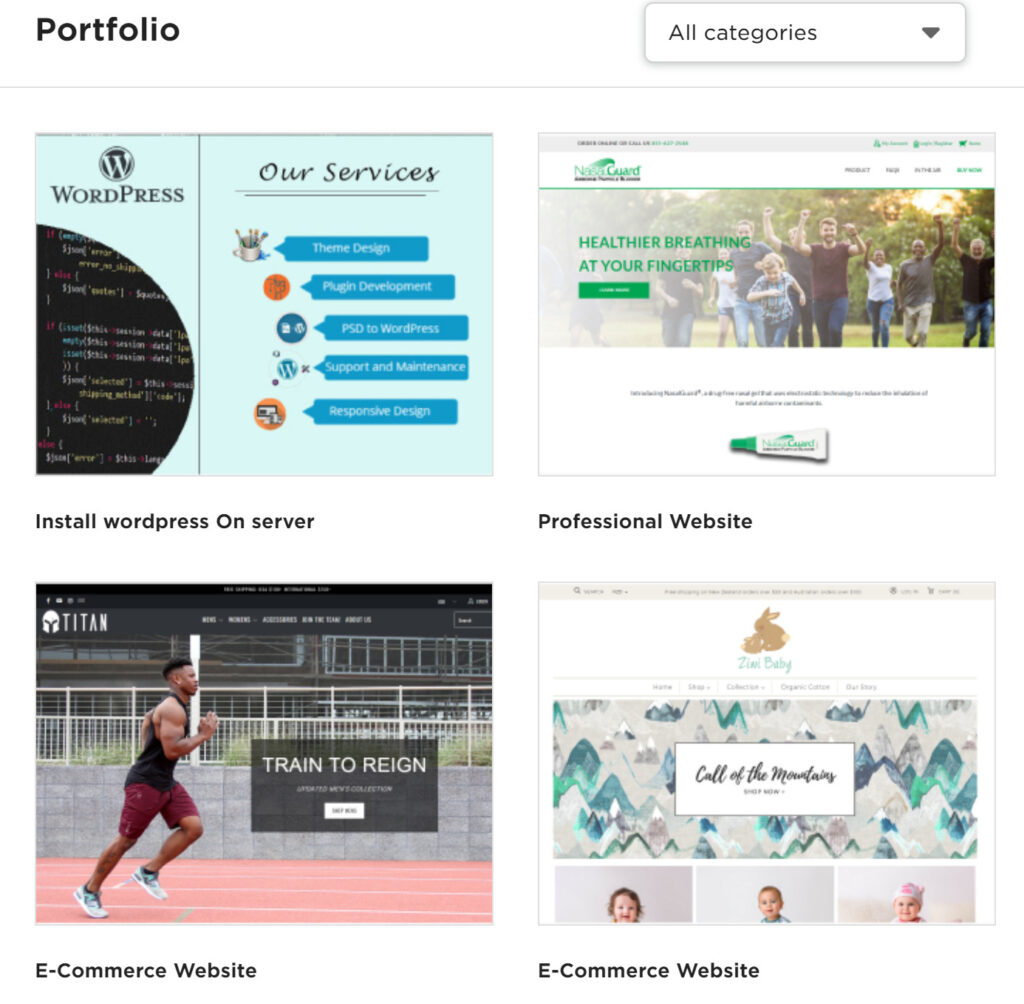 Upwork Freelancer Portfolio