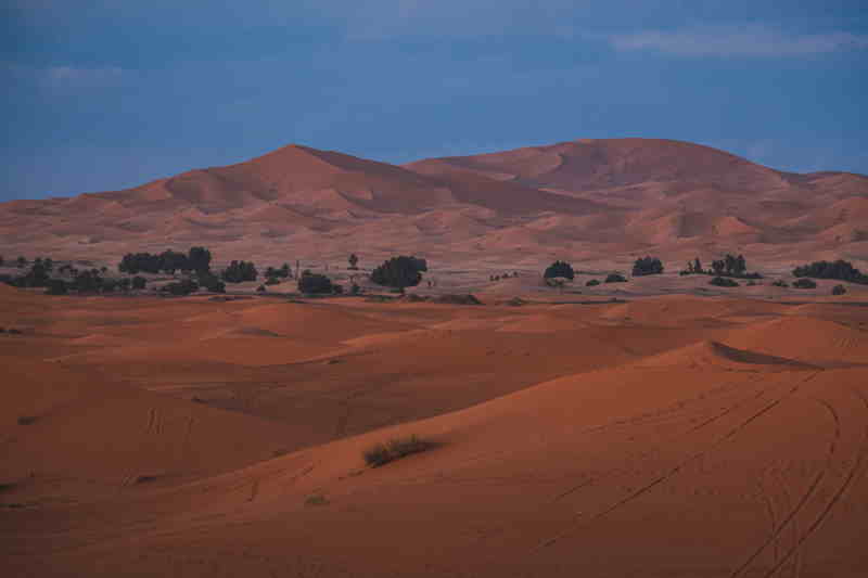 Sahara Desert