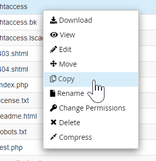 File Manager - Copy File