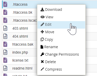 File Manager - htaccess Backup File